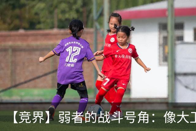 【竞界】弱者的战斗号角：像大卫那样击败歌利亚